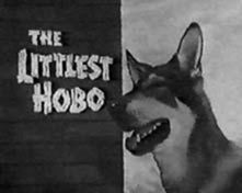 Littlest Hobo - 1963 - Main title - Vagabond (le) - 1963 - Générique